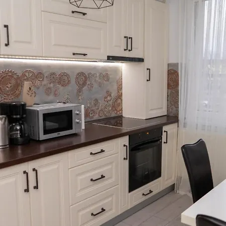 Apartment Radu