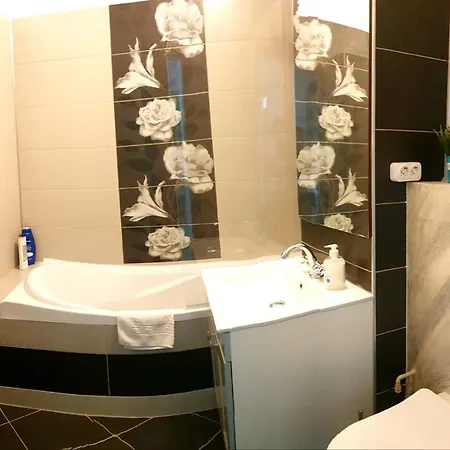 Apartment Radu *
